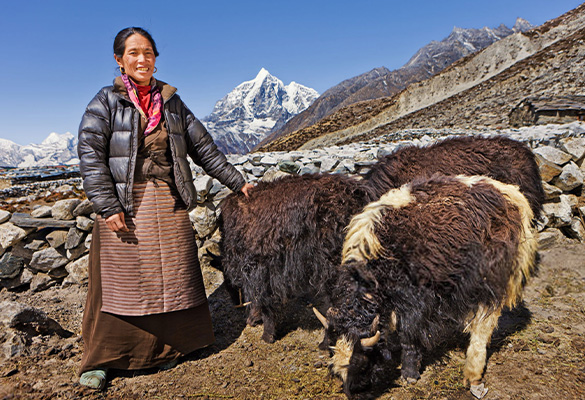 sustainable-products